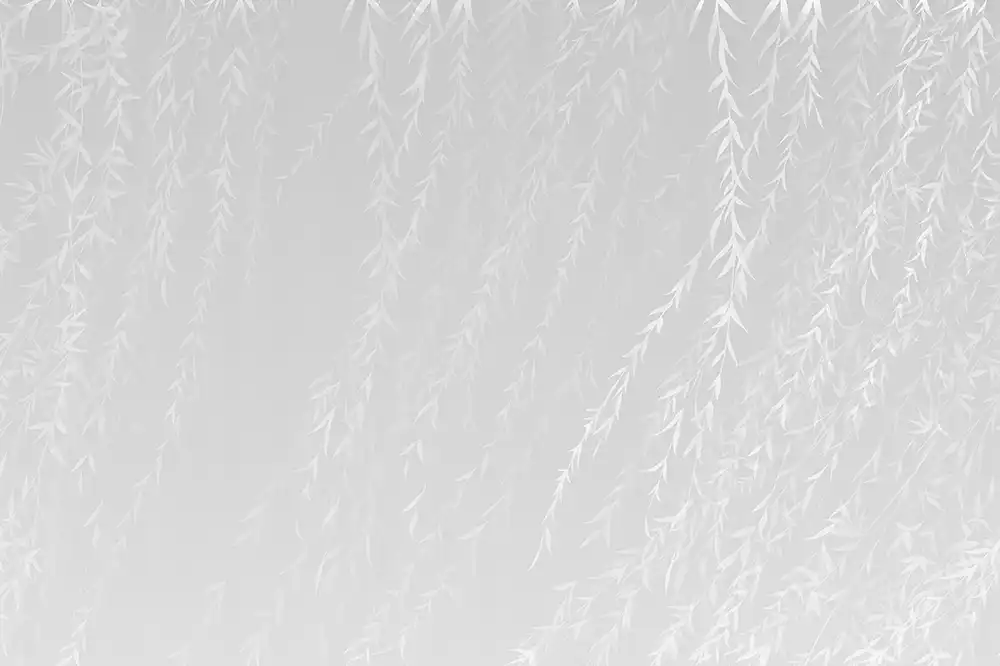 Swaying-Willow-Branches - Thumbnail 7