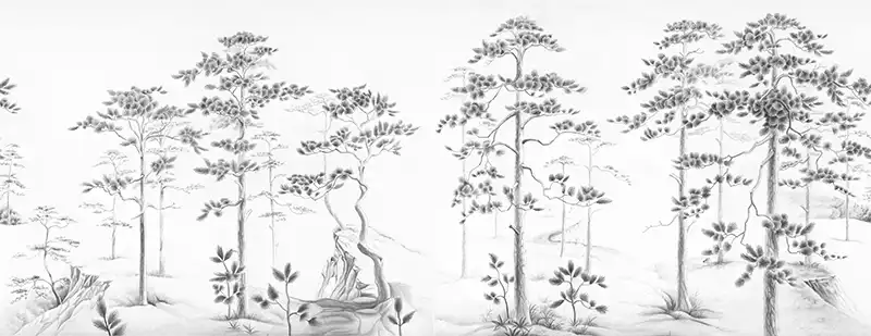 A-Path-in-the-Forest - Thumbnail 3