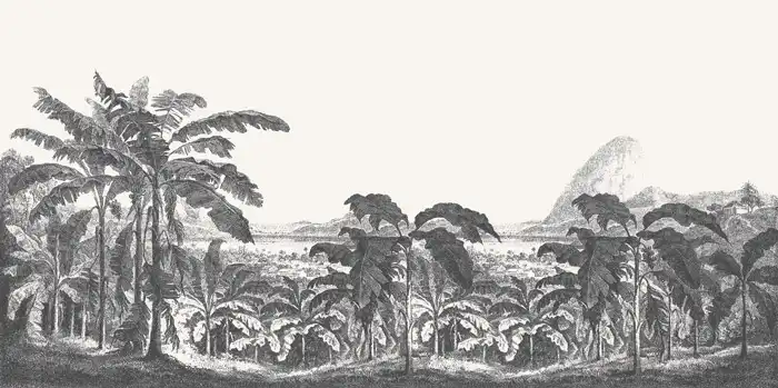 Palms-and-Mountain - Thumbnail 2