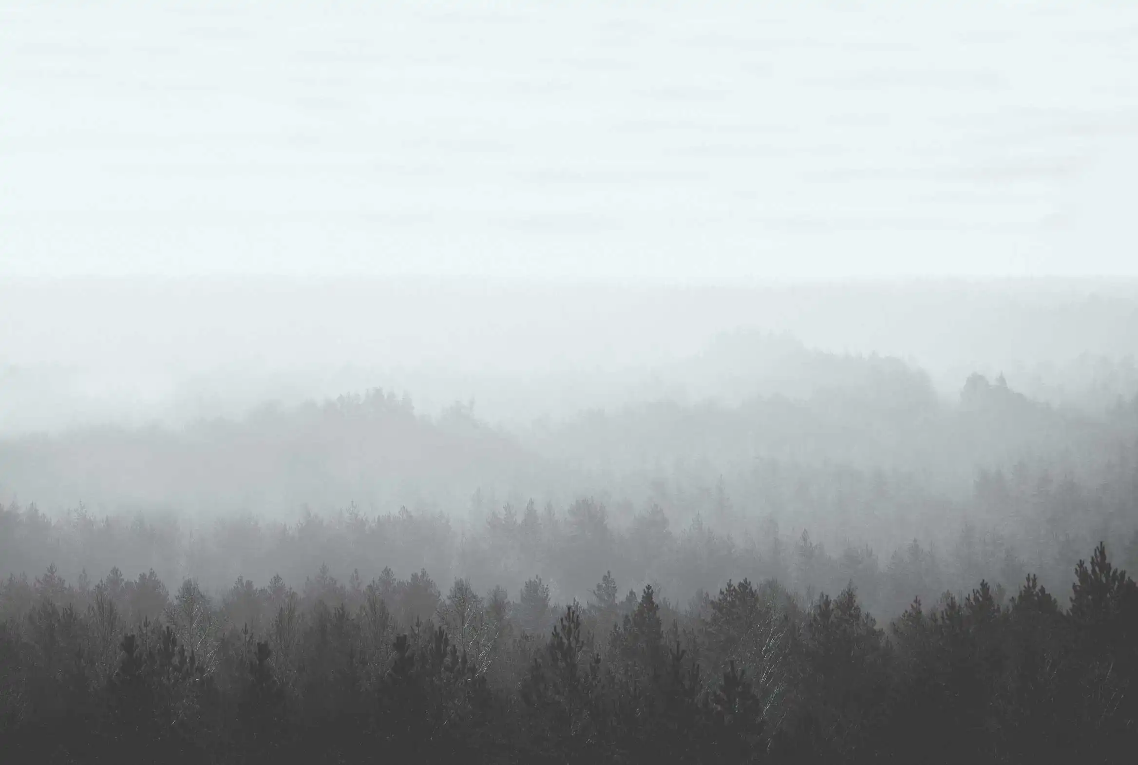 Oslo - Thumbnail 5