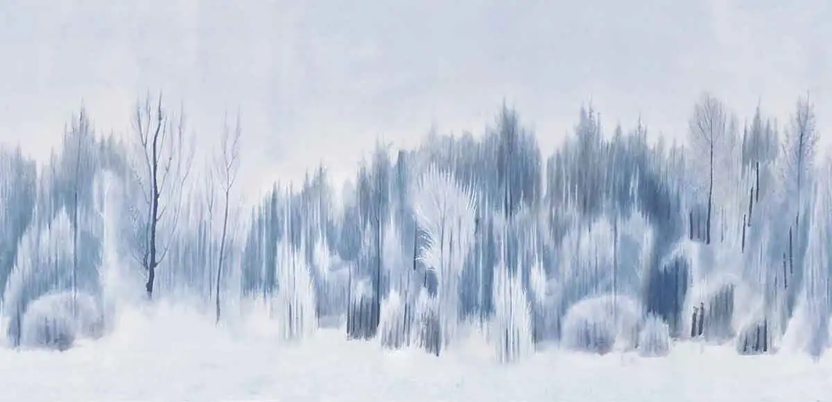 Silent-Forest - Thumbnail 2
