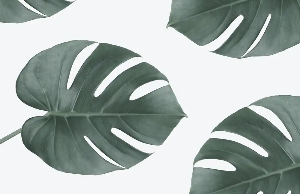 Whispers-of-the-Leaves - Thumbnail 4