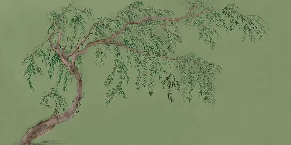 Salix - Thumbnail 8