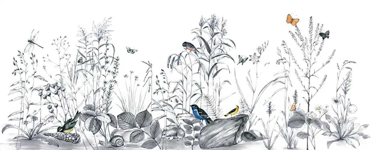 Bird-Paradise - Thumbnail 4