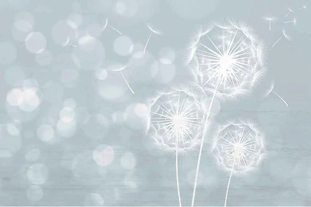 Flying-Dandelion - Thumbnail 3