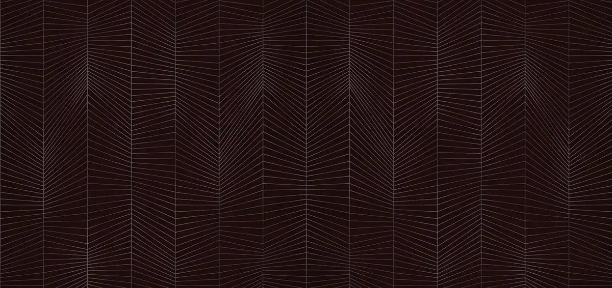 Spider-Web - Thumbnail 4