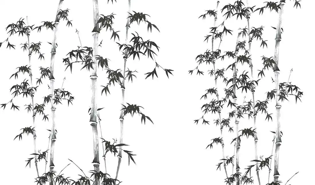 Echoes-in-the-Bamboo-Forest - Thumbnail 2