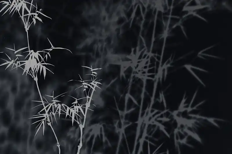 Shadows-of-the-Bamboo - Thumbnail 5