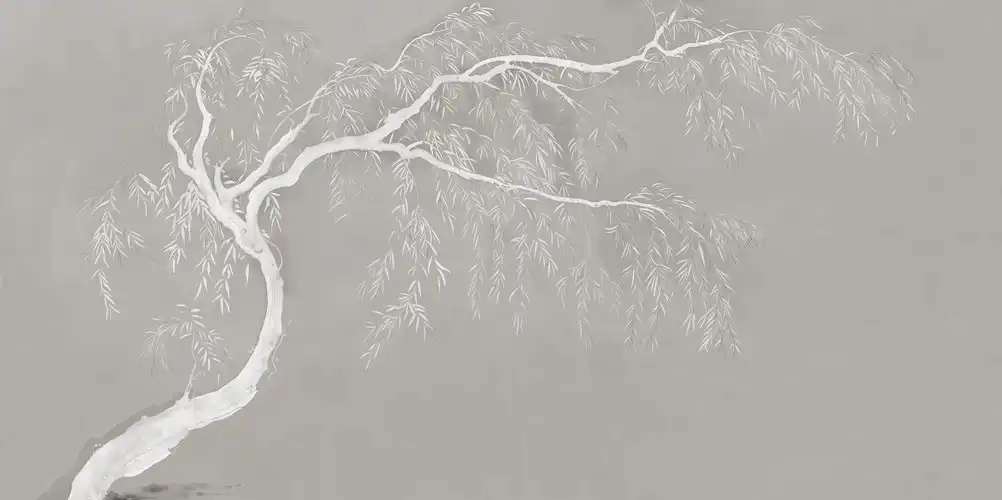 Salix - Thumbnail 9