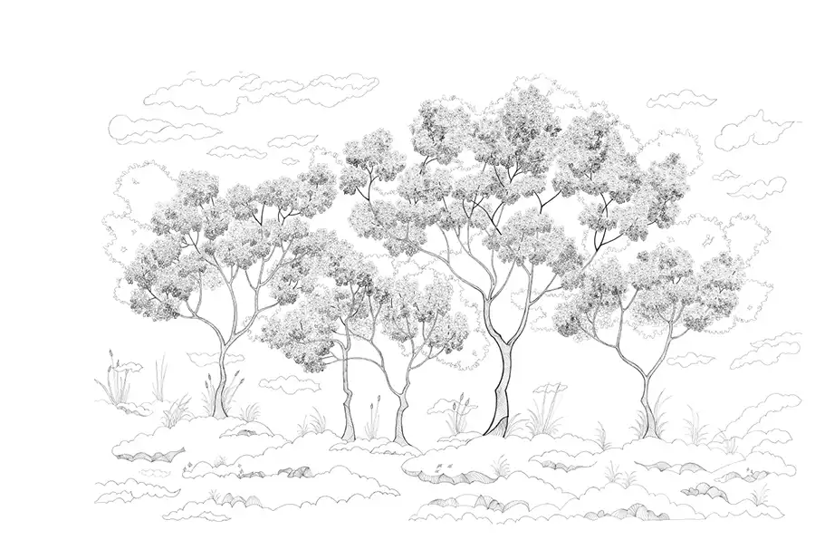 The-Sketch-of-the-Forest - Thumbnail 4