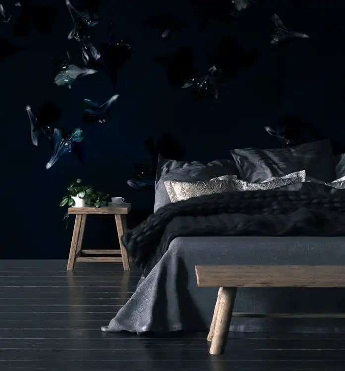 Cocoon - Thumbnail 3