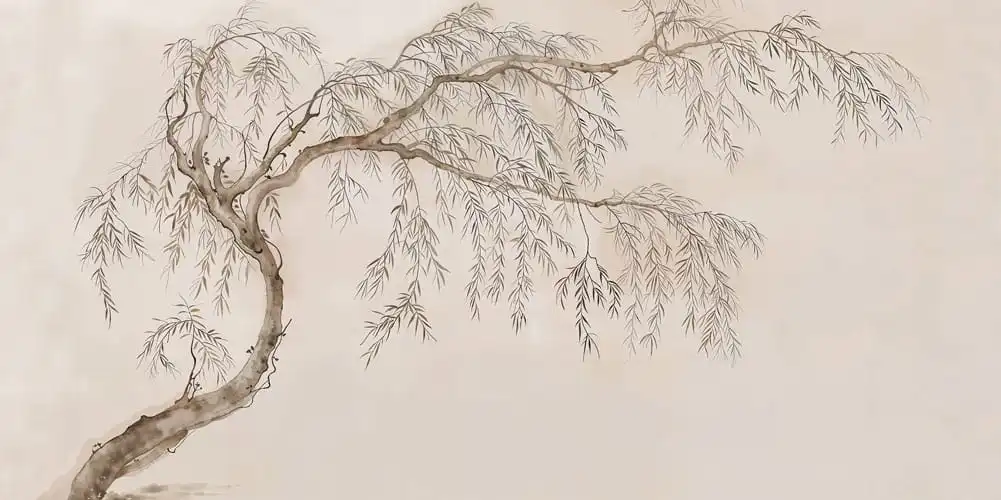 Salix - Thumbnail 13