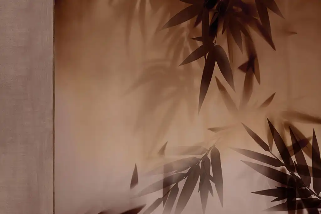 When-Light-Paints-the-Bamboo - Thumbnail 4