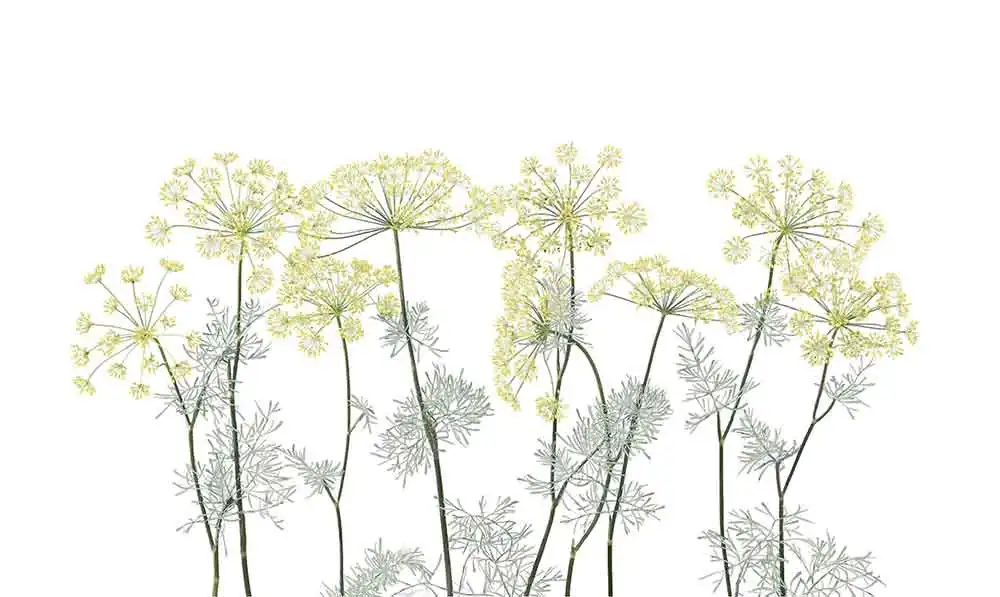Dancing-Flowers-in-March - Thumbnail 2