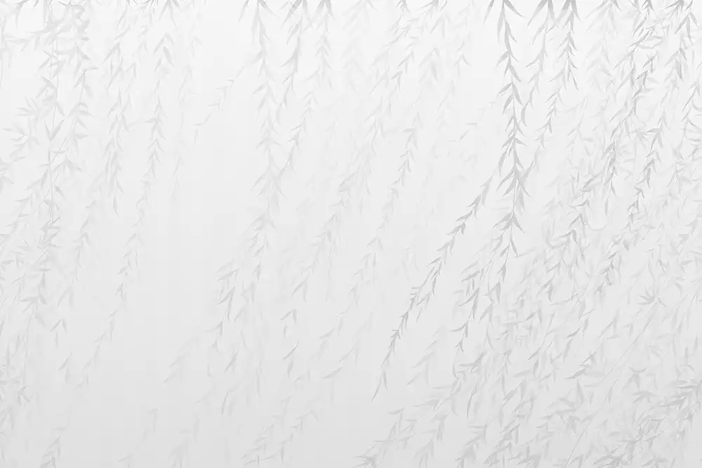 Swaying-Willow-Branches - Thumbnail 5