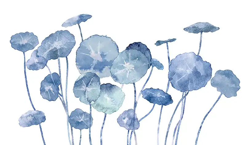 Lotus-Leaves - Thumbnail 2