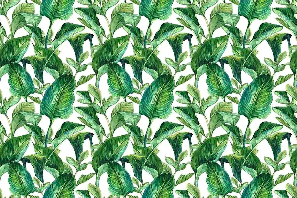 Leaves-of-Life - Thumbnail 2