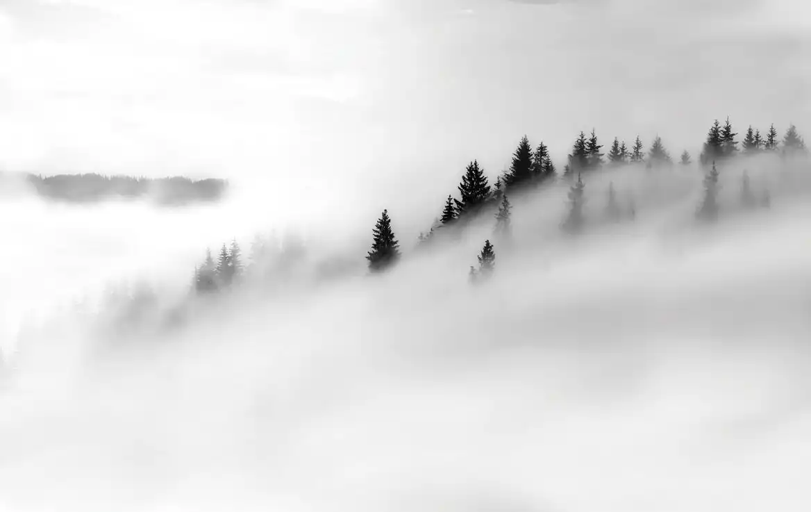 Carpathia - Thumbnail 3
