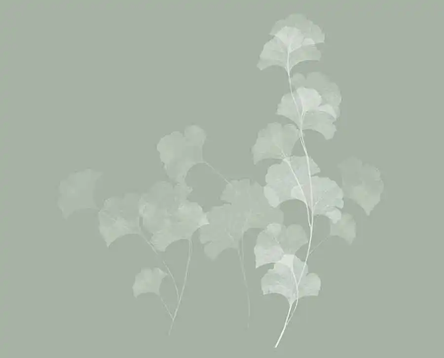 Swaying-Ginkgo - Thumbnail 3