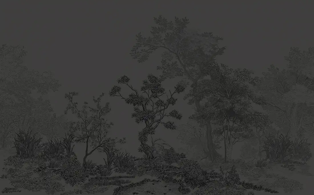 Dark-Forest - Thumbnail 5
