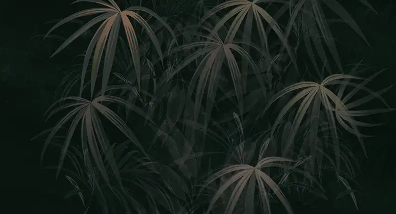 The-Quiet-Leaves - Thumbnail 3