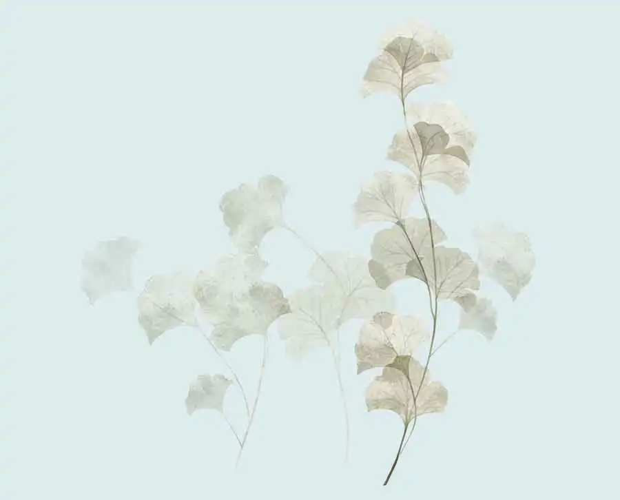 Swaying-Ginkgo - Thumbnail 2