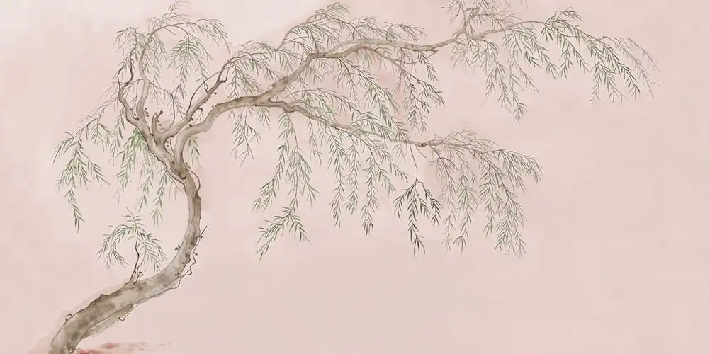 Salix - Thumbnail 14