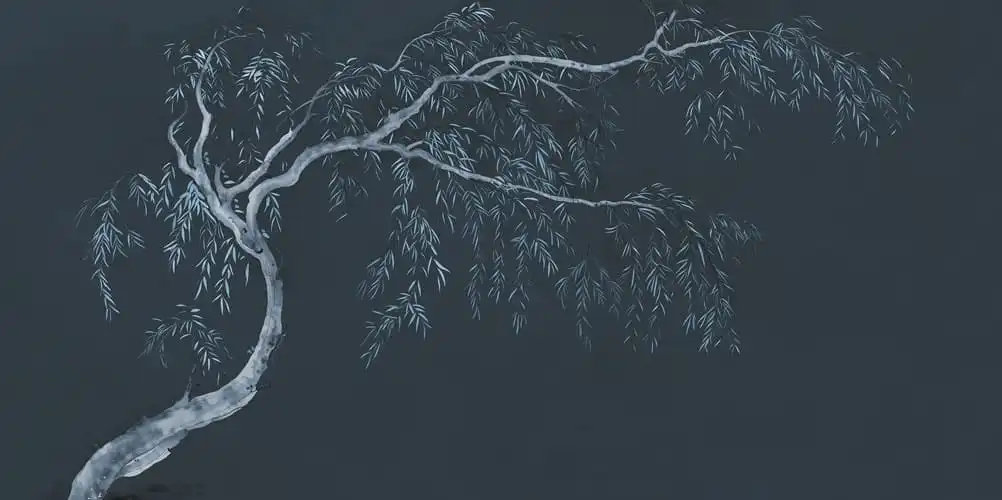 Salix - Thumbnail 11
