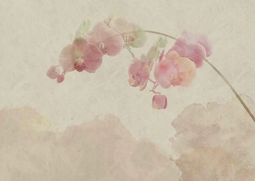 Blooming-Orchid - Thumbnail 4
