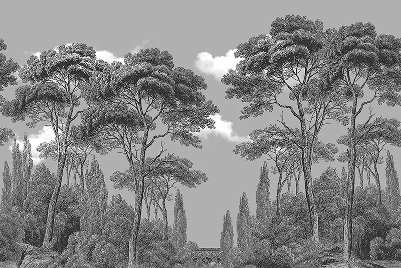 Among-the-Spruce-Forest - Thumbnail 5