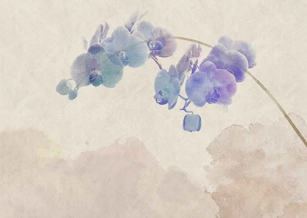 Blooming-Orchid - Thumbnail 3