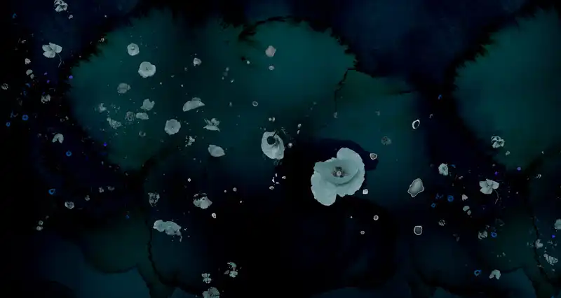 Clouds-&-Poppies - Thumbnail 5