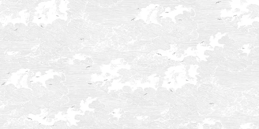 Cloudy-Skies - Thumbnail 4