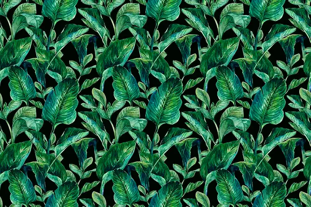 Leaves-of-Life - Thumbnail 4