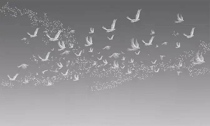 Flying-Birds - Thumbnail 2