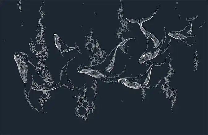Bubble-Whales - Thumbnail 2