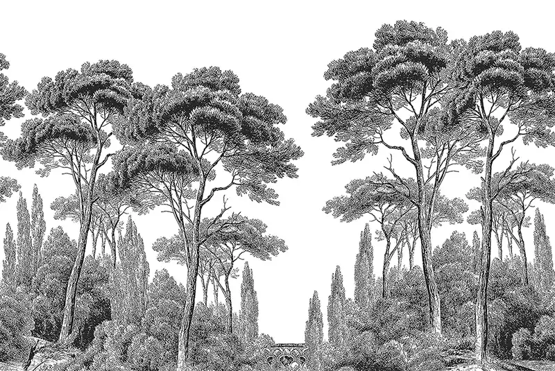 Among-the-Spruce-Forest - Thumbnail 8