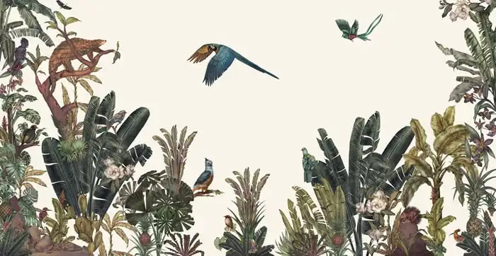 Parrot’s-Message - Thumbnail 3