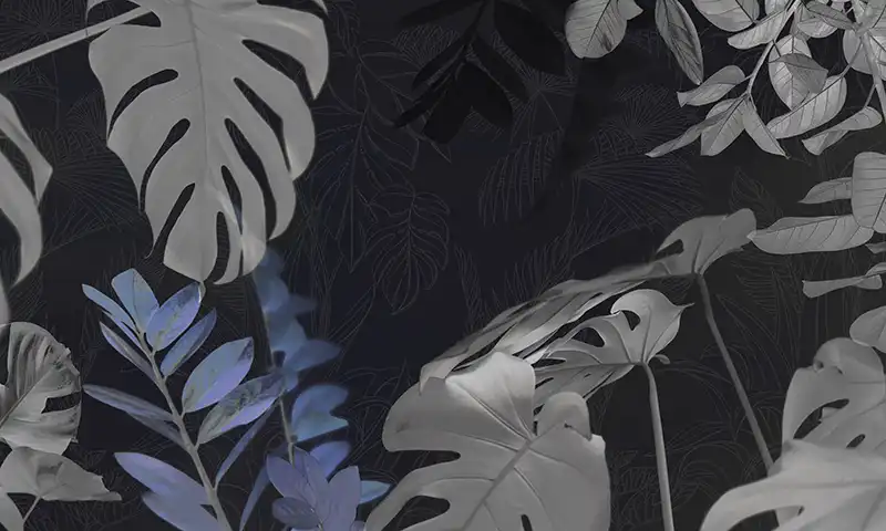 A-Forest-Filled-with-Banana-Leaves - Thumbnail 3