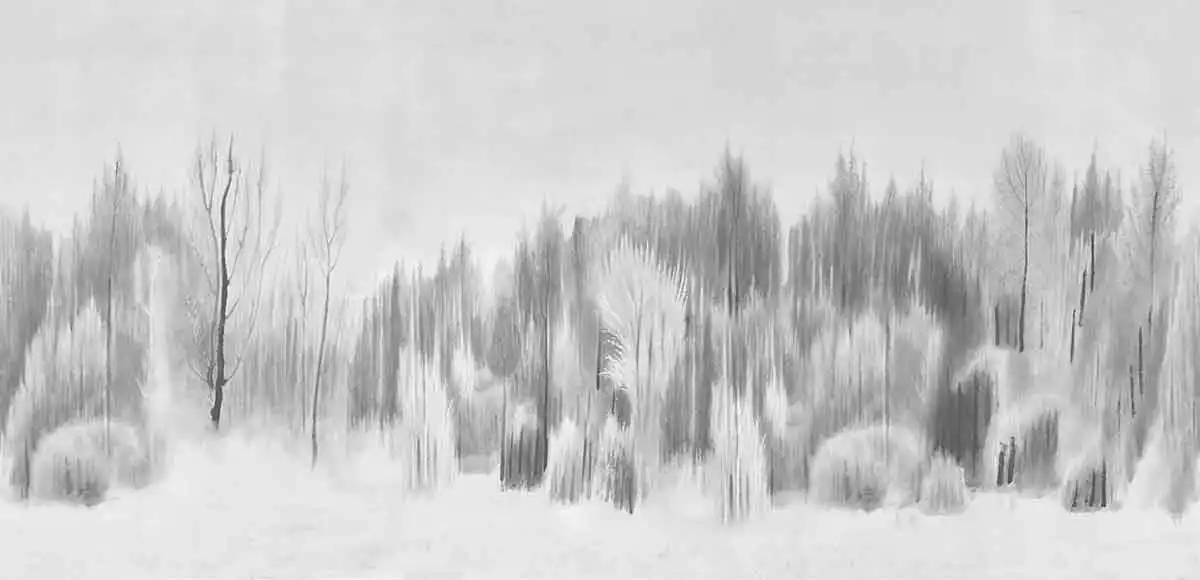 Silent-Forest - Thumbnail 3