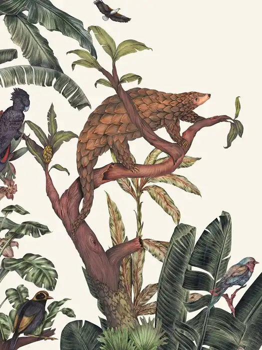Parrot’s-Message - Thumbnail 2