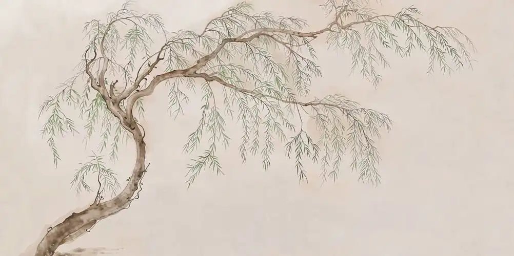 Salix - Thumbnail 12