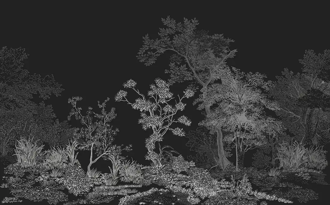 Dark-Forest - Thumbnail 4