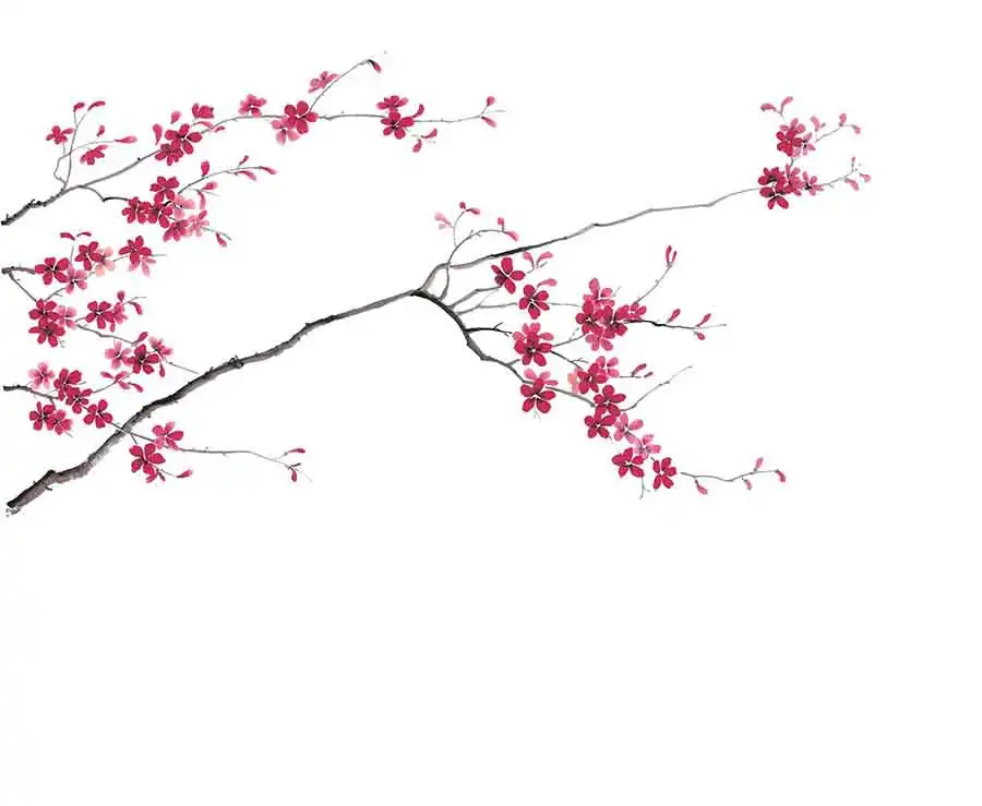 Elegant-Flowers - Thumbnail 8