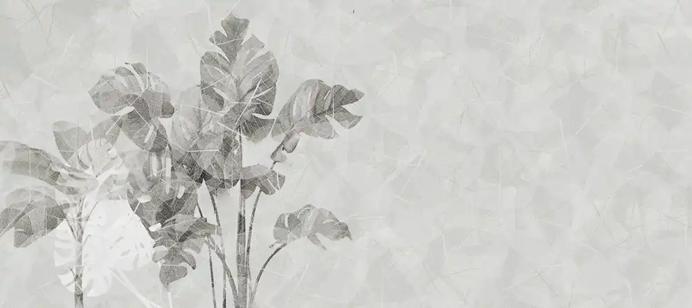 Monstera-Deliciosa - Thumbnail 3