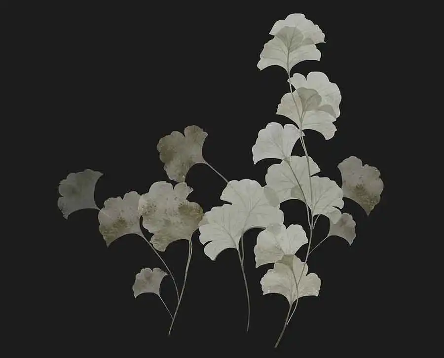 Swaying-Ginkgo - Thumbnail 5