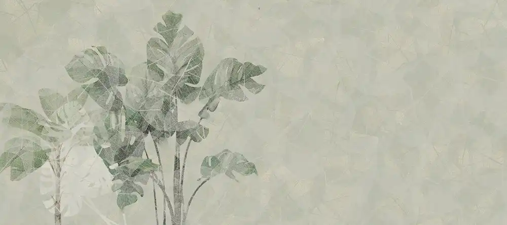 Monstera-Deliciosa - Thumbnail 5