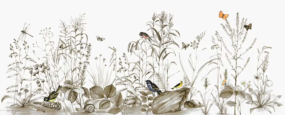 Bird-Paradise - Thumbnail 5