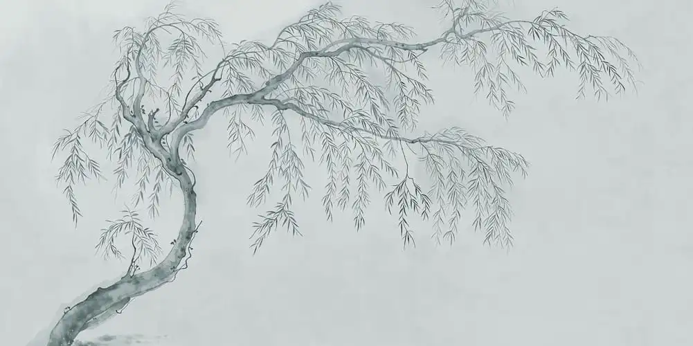 Salix - Thumbnail 10