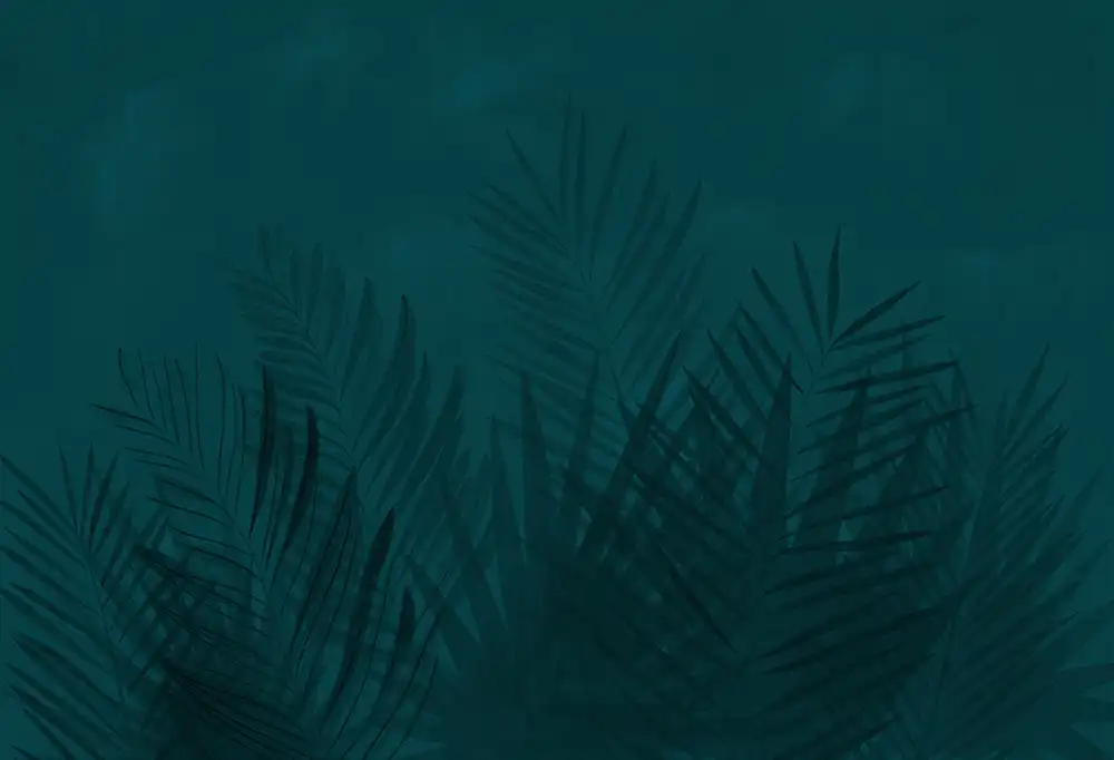 Shadow-of-Leaves - Thumbnail 5